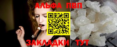 амф Кингисепп