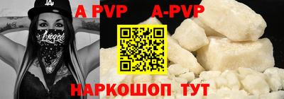 амф Кингисепп