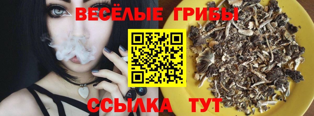 Псилоцибиновые грибы Psilocybine cubensis  Вход с VPN  Галлюциногенные грибы MAGIC MUSHROOMS  Ярославль 